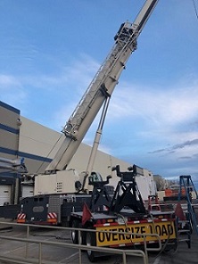 Country Malt Group Hops Cooler
